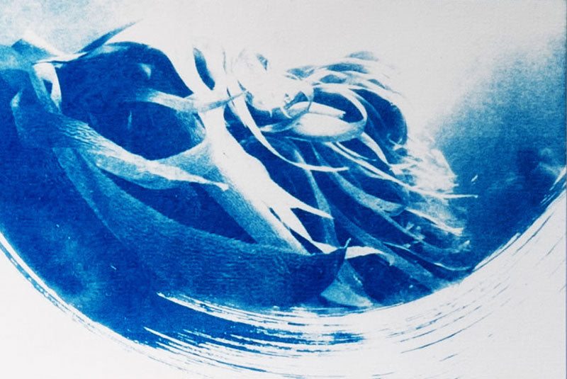 Cyanotype