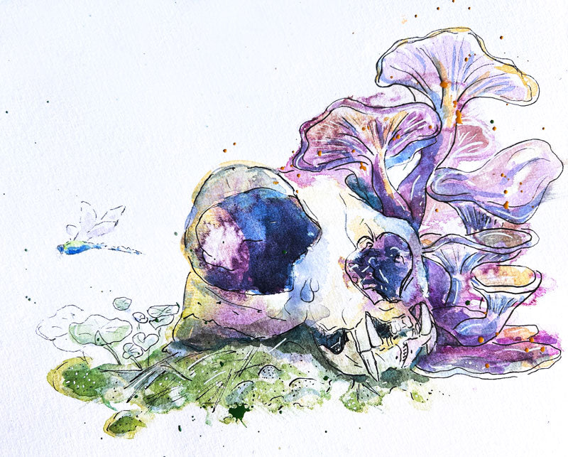 Sketching Courses