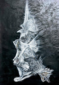 Sea Elder