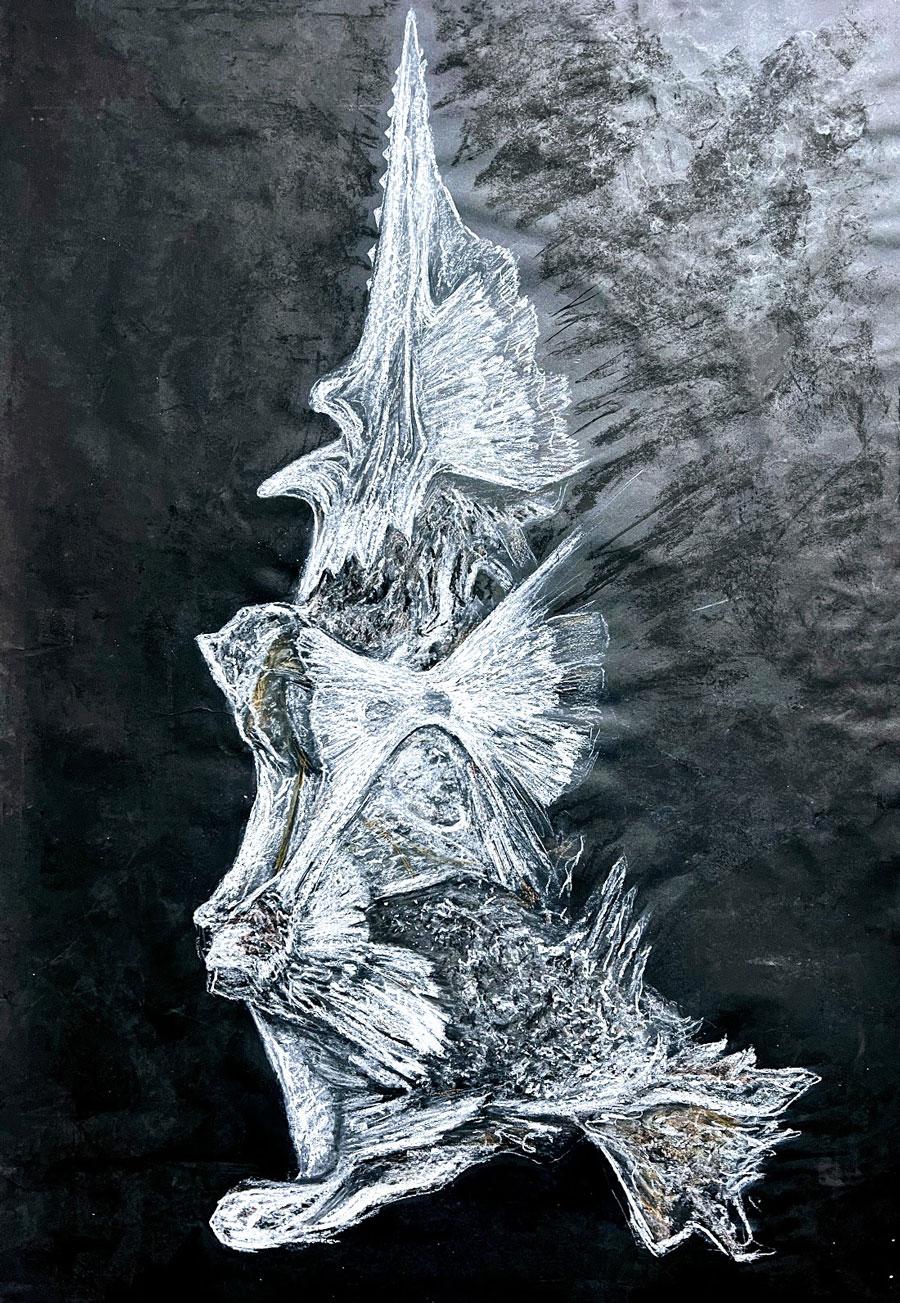 Sea Elder
