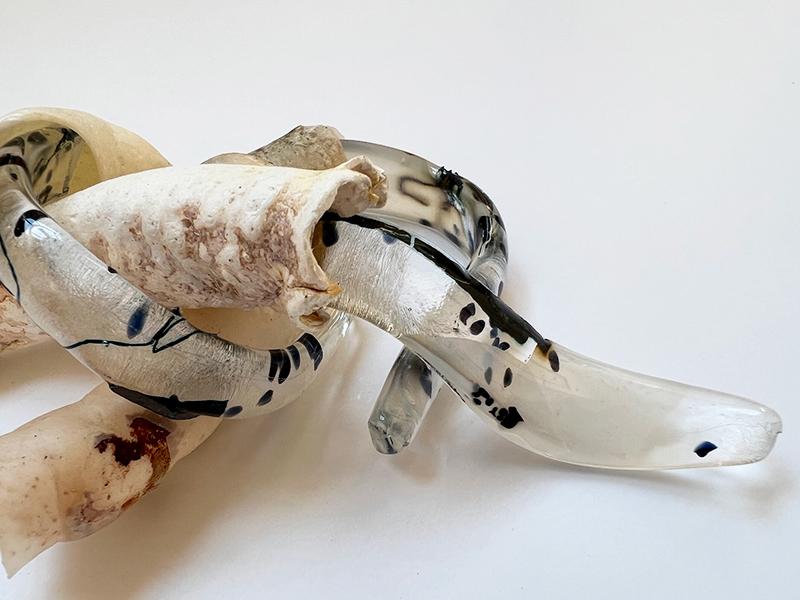 Shipworms Teredo Navalis Glass Piece