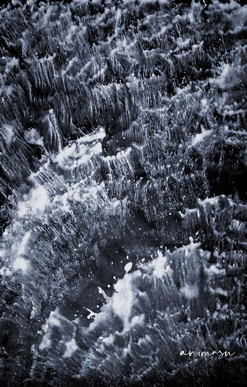 Wave study