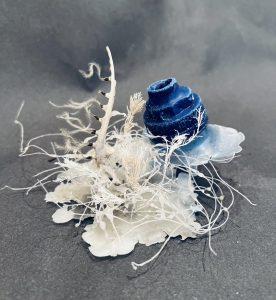 Ana Maria Surdu Natural Plastic Symbiosis art display