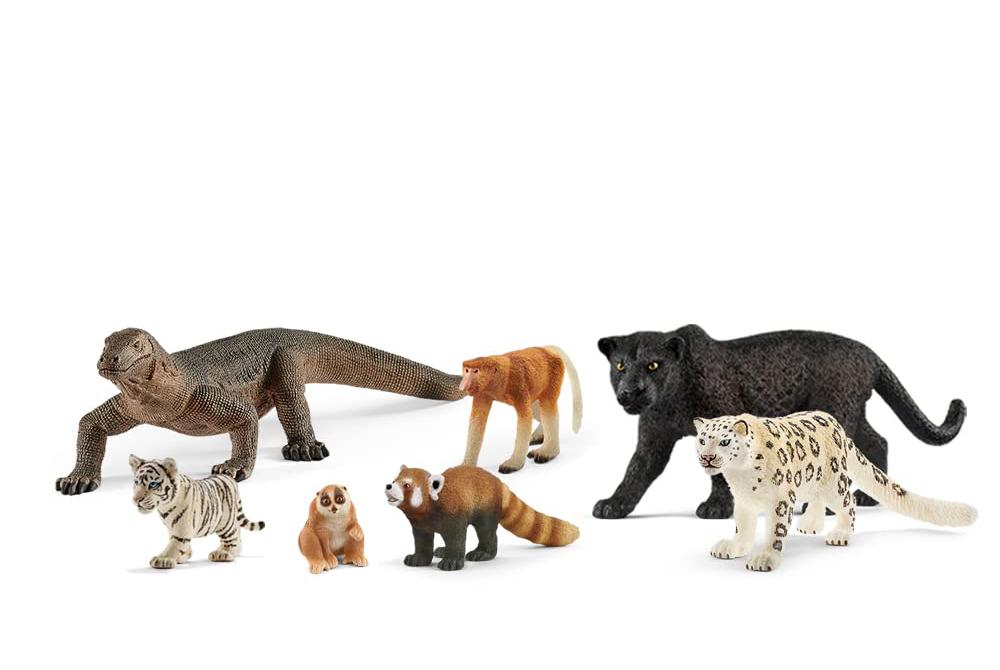 animal model toys for observation drawing in art rooms