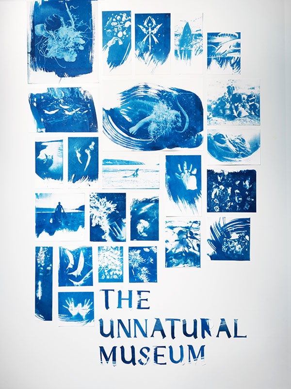 the unnatural museum cork county council environmental art