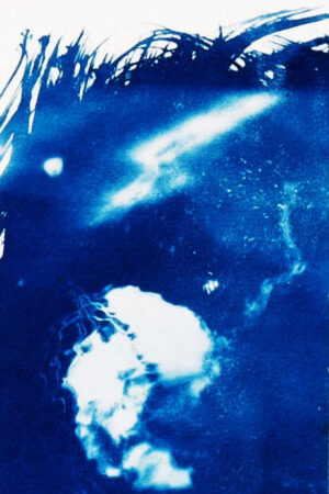 Cyanotype - Chrysaora hysoscella