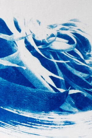 Cyanotype - Palmaria palmata